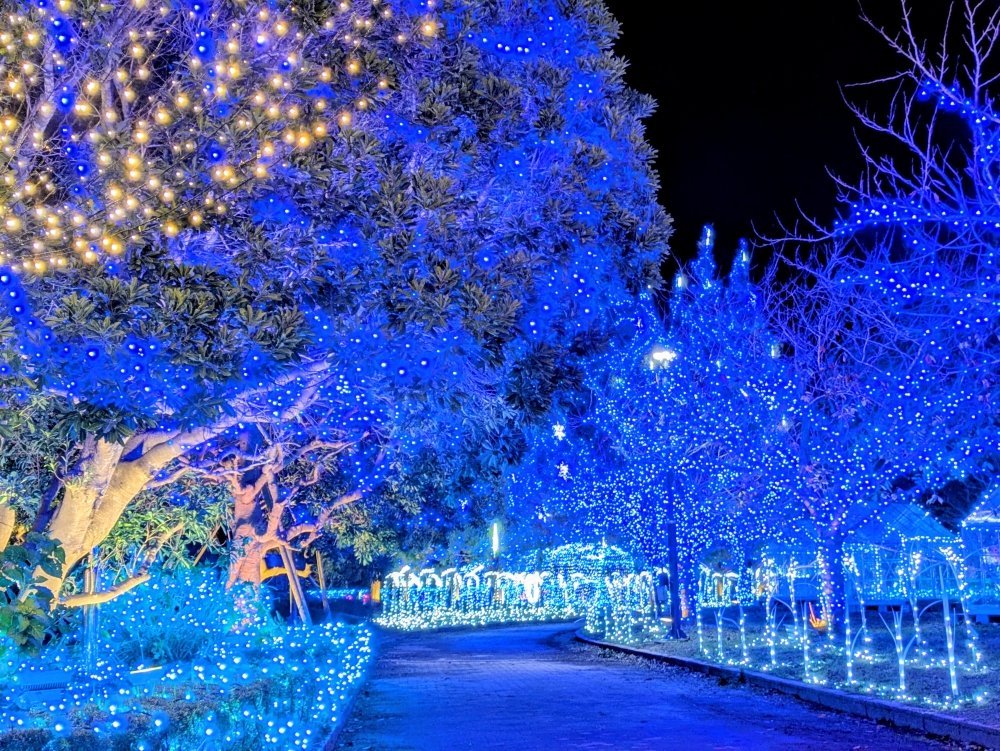 かわちイルミネーション2025