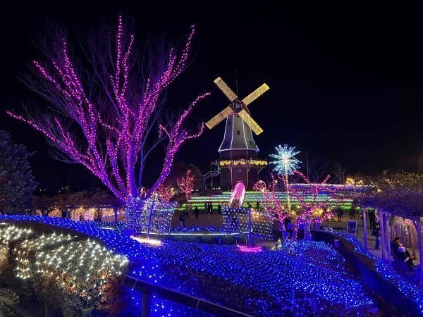 第14回光がつくる “Art” 水郷桜イルミネーション