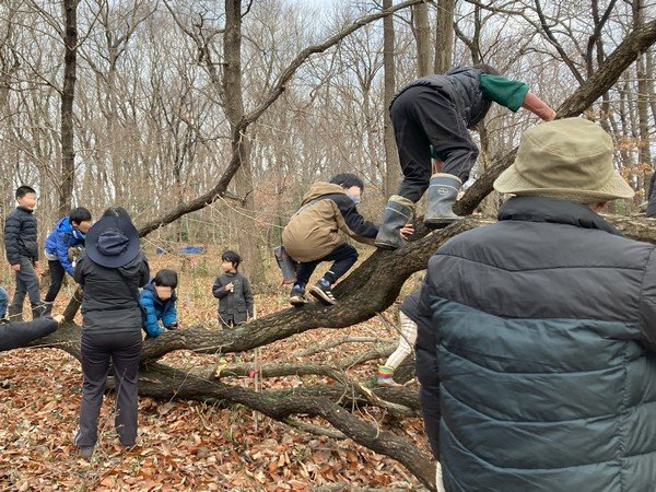 ふるさとの森を未来に残そう！
ふるさとの森を守ろう