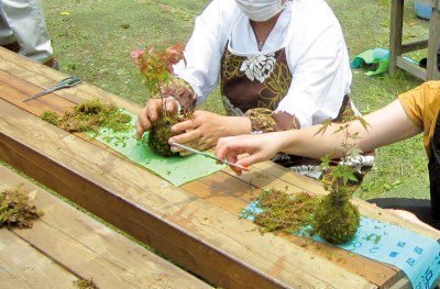 たかはら自然塾
コケ玉作り（正月用）