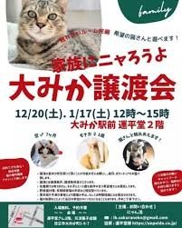 Rescue Cat Adoption Event
家族にニャろうよ！ 大みか譲渡会