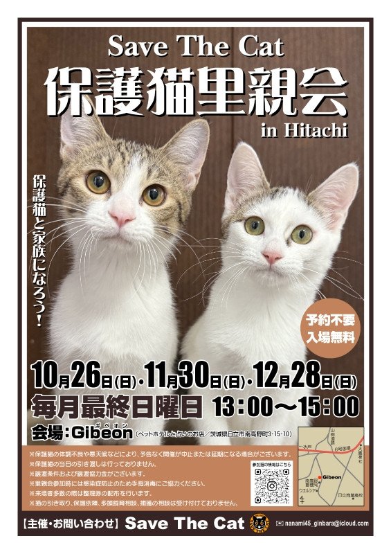 保護猫と家族になろう！ 保護猫里親会 in Hitachi