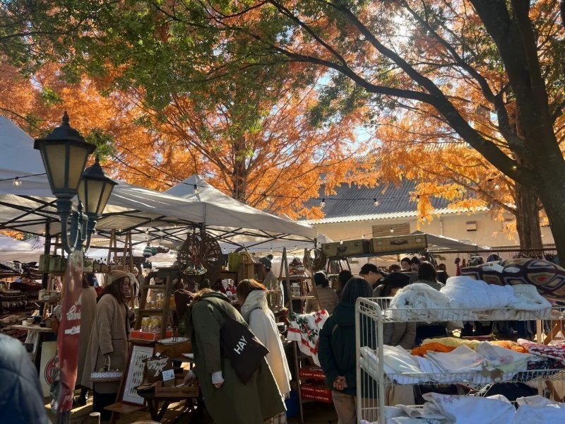 フェルム・ド・ノエル