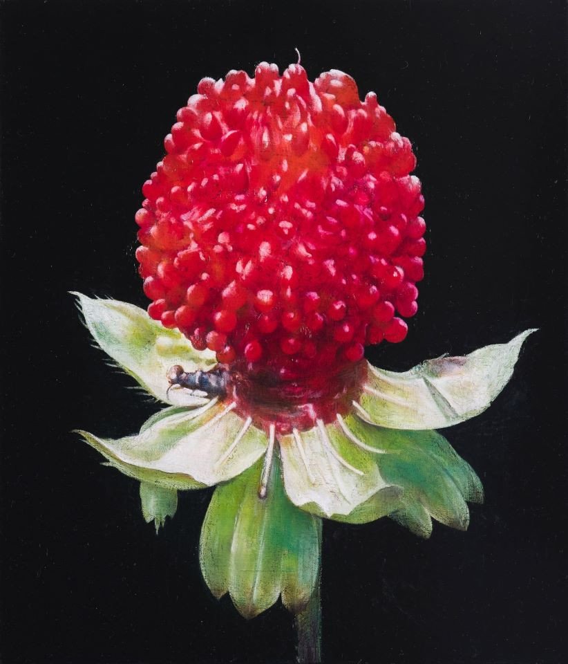 東海ステーションギャラリー開放事業 茨城大学教育学部美術科有志展「いろいろ」