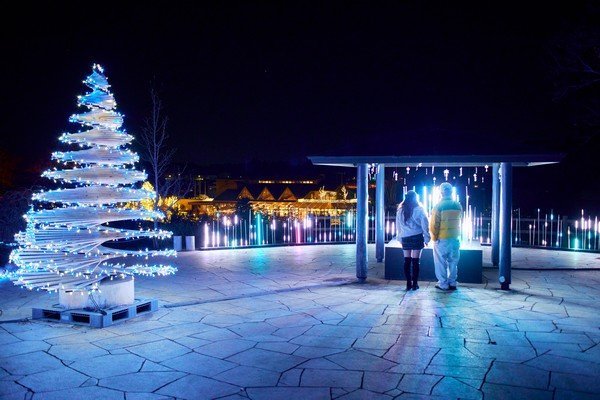 いばらきフラワーパーク
Moonlight Rose Garden2025