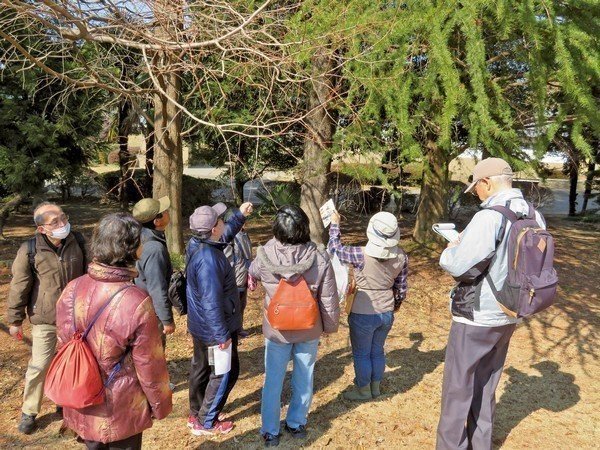 古河公方公園
冬の植物観察会
