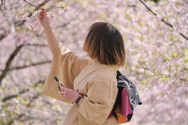 陽だまりの森をお花見しよう
桜フェスタ