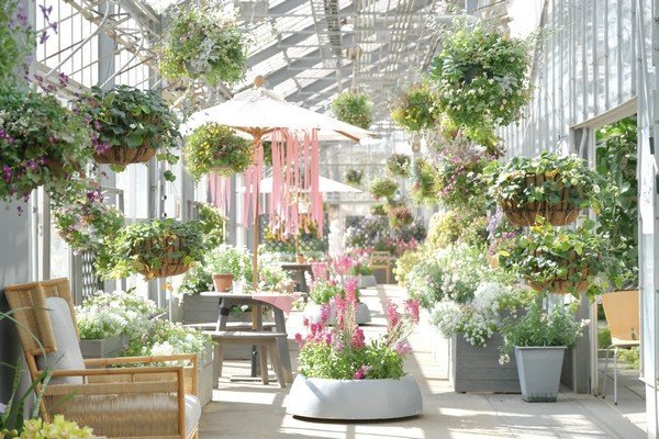 音の花束コンサート