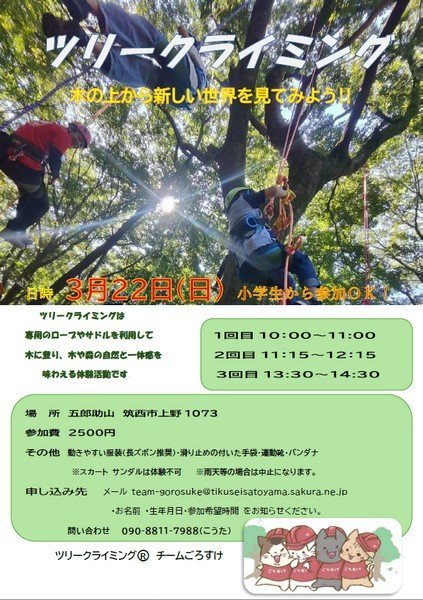 五郎助山
ツリークライミング