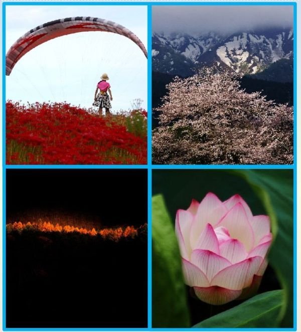 東海村写真連盟写真展’26