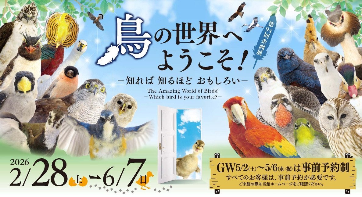 第94回企画展 鳥の世界へようこそ！－知れば 知るほど おもしろい－