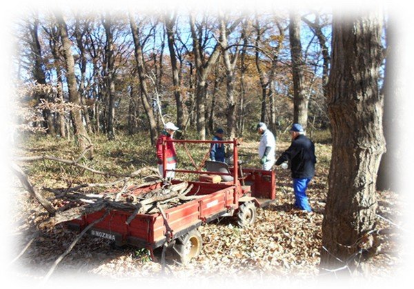 里山整備の1日だけの体験ボランティアをしよう！
里山整備ボランティア募集！
