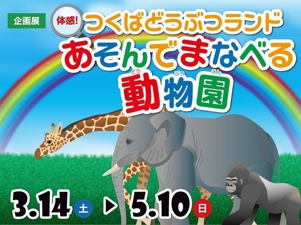 動物の意外な姿を体験展示で体感！
企画展「体感！つくばどうぶつランド あそんでまなべる動物園」