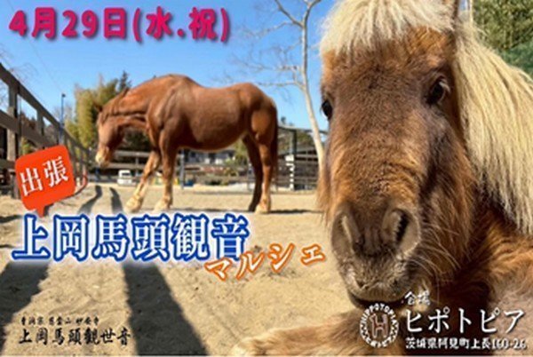 素敵な馬と馬雑貨やキッチンカーに出会える空間
出張！上岡馬頭観音マルシェ inヒポトピア