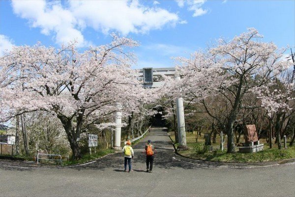 あたご山桜まつり