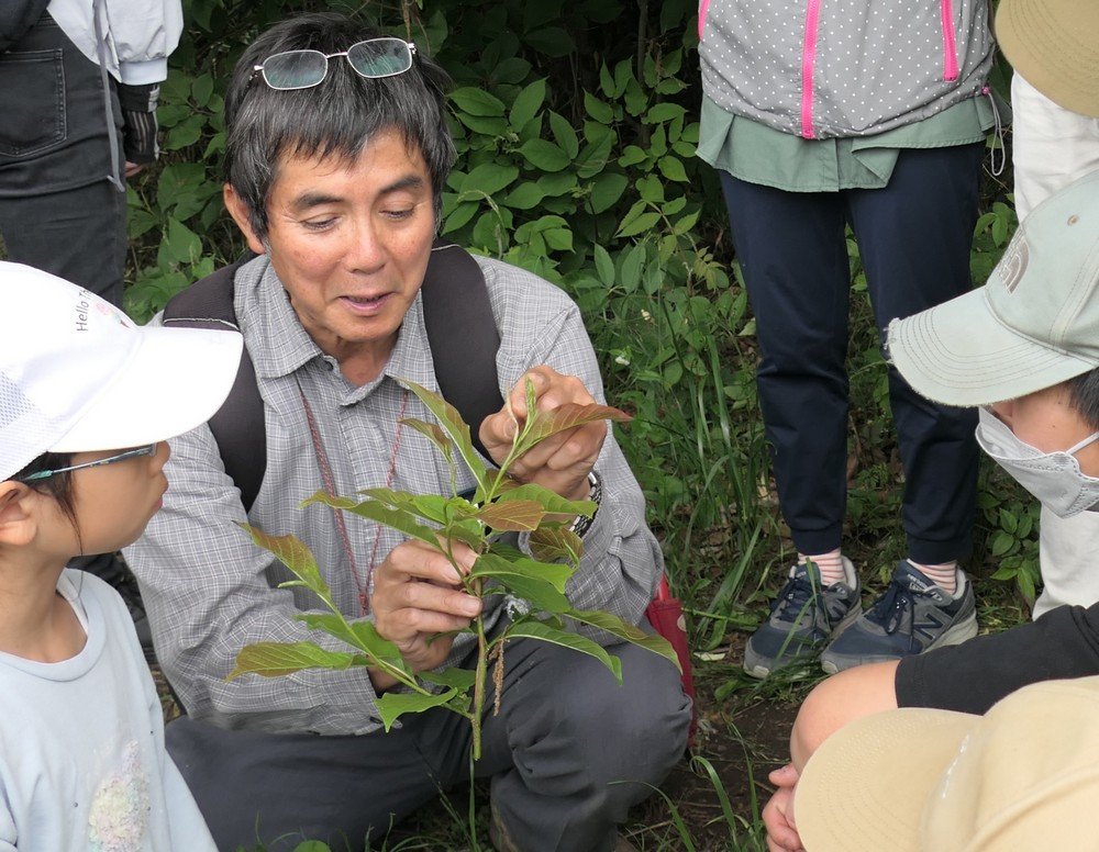 春の植物の不思議を見つけよう！
春の植物観察会