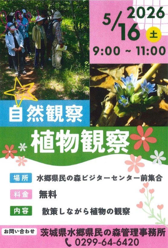水郷県民の森
植物観察会