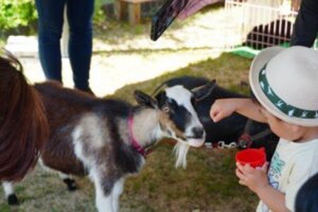 いばらきフラワーパーク
移動動物園