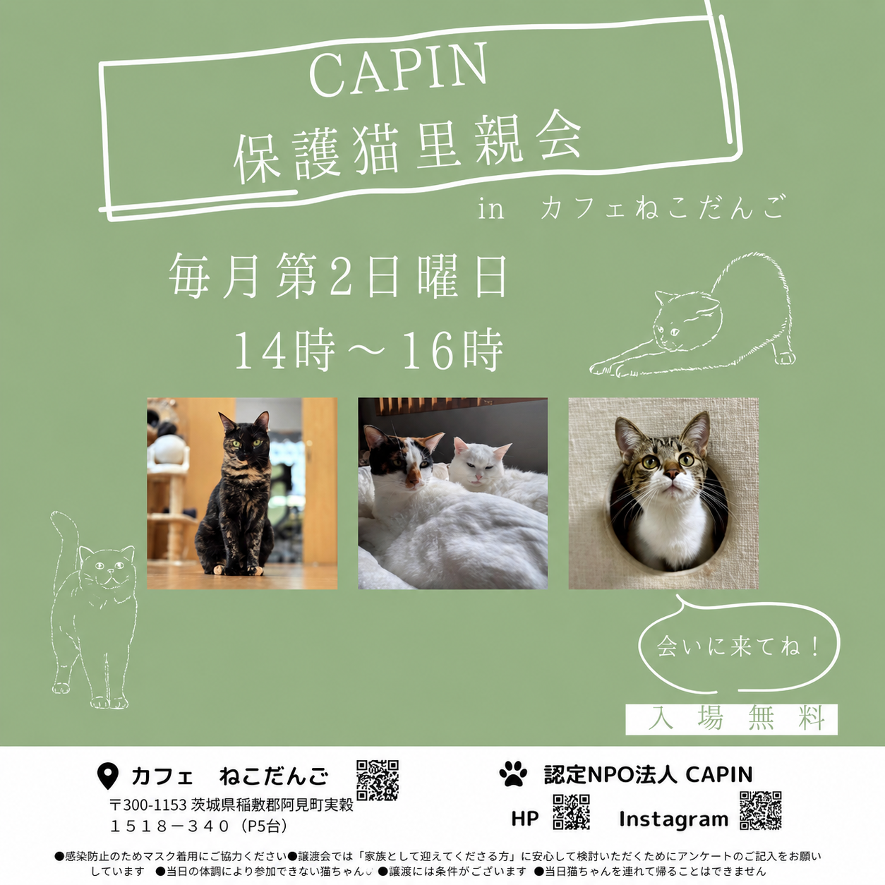 CAPiN保護猫里親会inカフェねこだんご