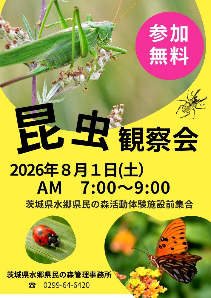 水郷県民の森
昆虫観察会≪8月≫