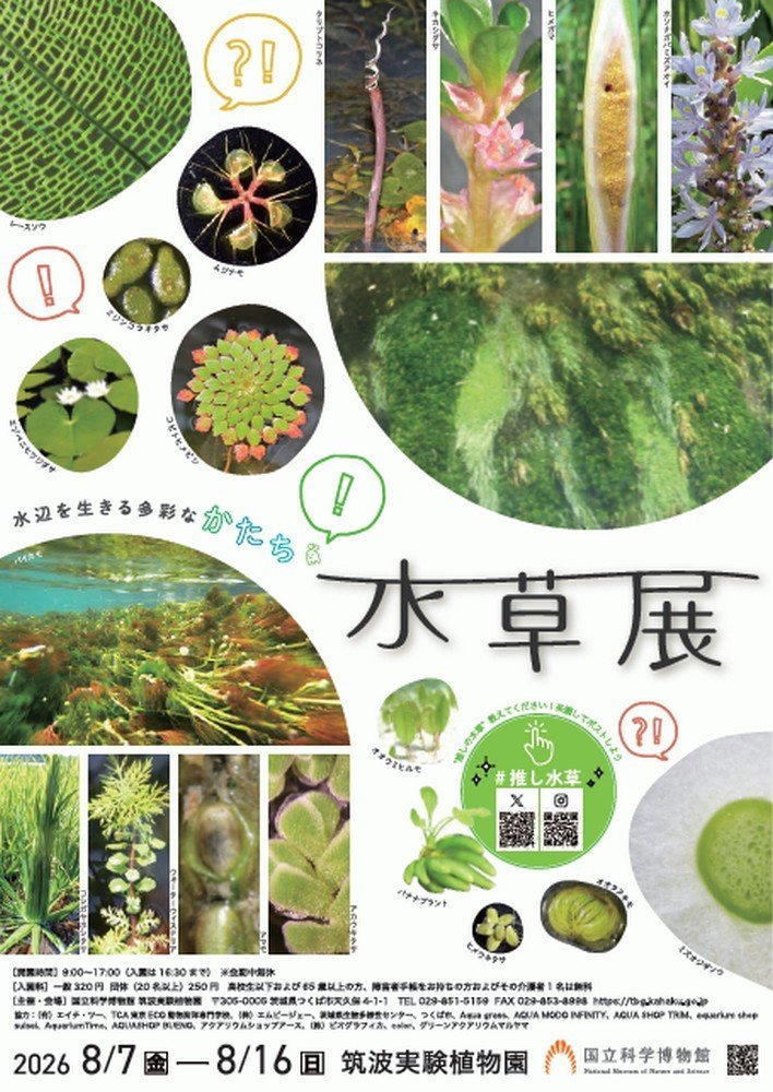 企画展
水草展 -水辺を生きる多彩なかたち-