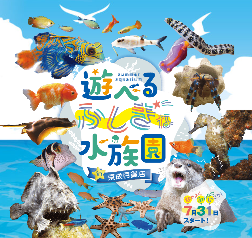 サマーアクアリウム遊べるふしぎな水族園 in 京成百貨店