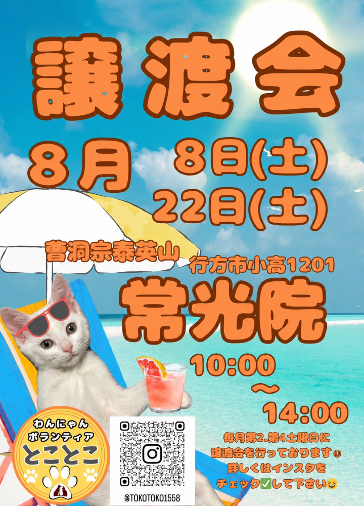 わんにゃんボランティアとことこ
保護猫譲渡会