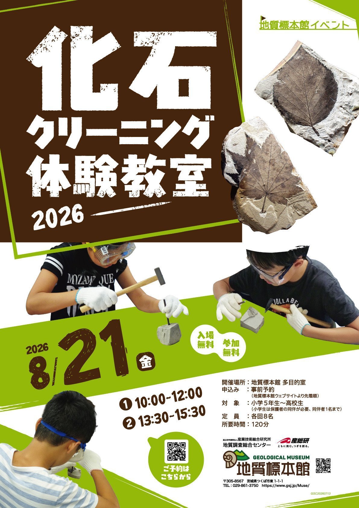 地質標本館 イベント 「化石クリーニング体験教室―2026―」
