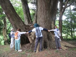 鹿嶋再発見まち歩きツアー
白鳥の里