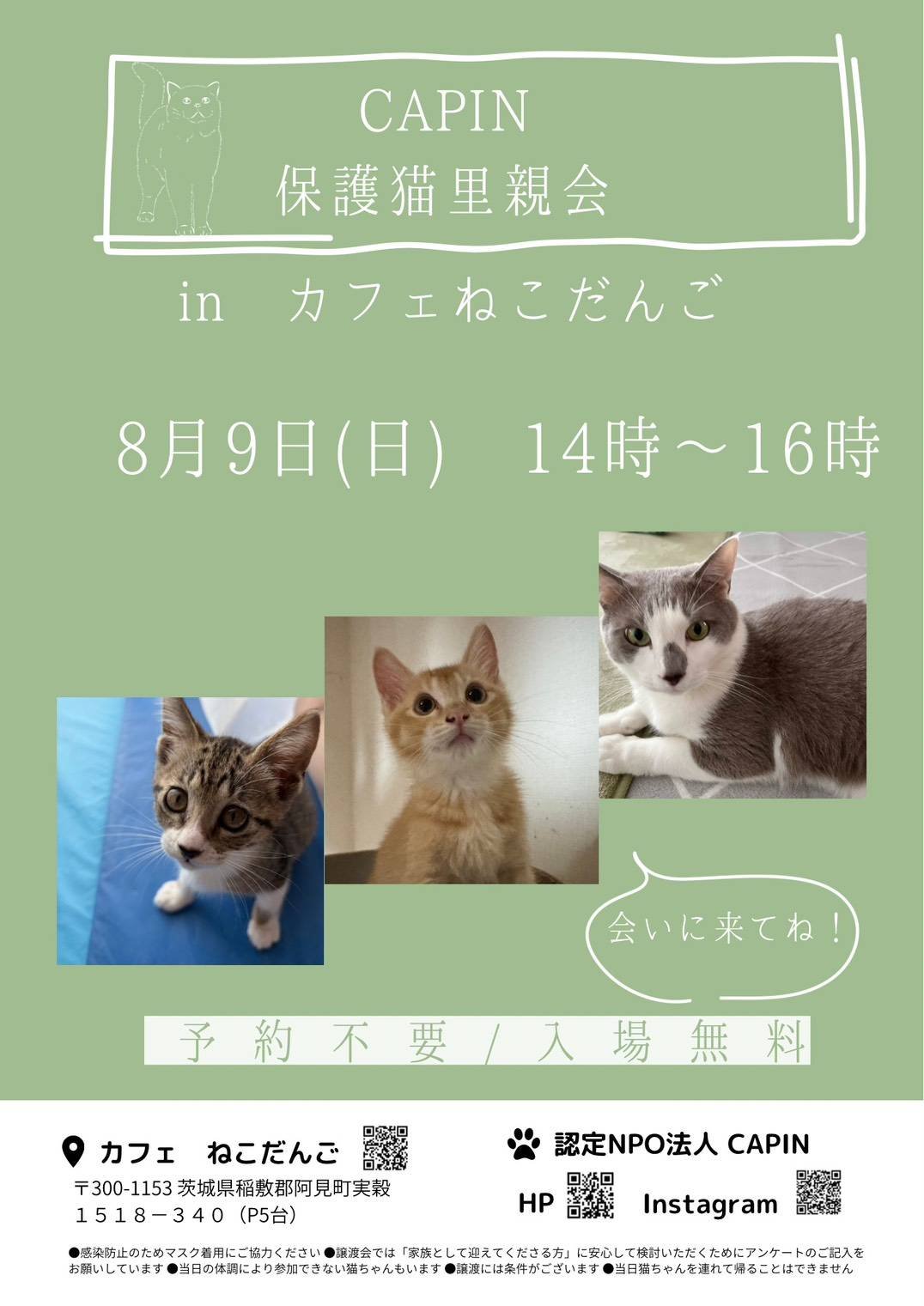 CAPiN保護猫里親会inカフェねこだんご