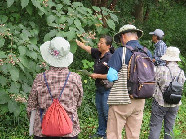彩り鮮やかな公園の秋を感じてみませんか？
古河公方公園 秋の植物観察会