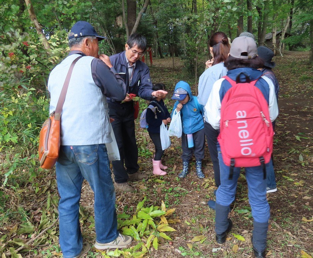 秋の植物観察会