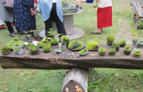たかはら自然塾
苔の育て方と苔ボトル(テラリウム)の作り方講習会