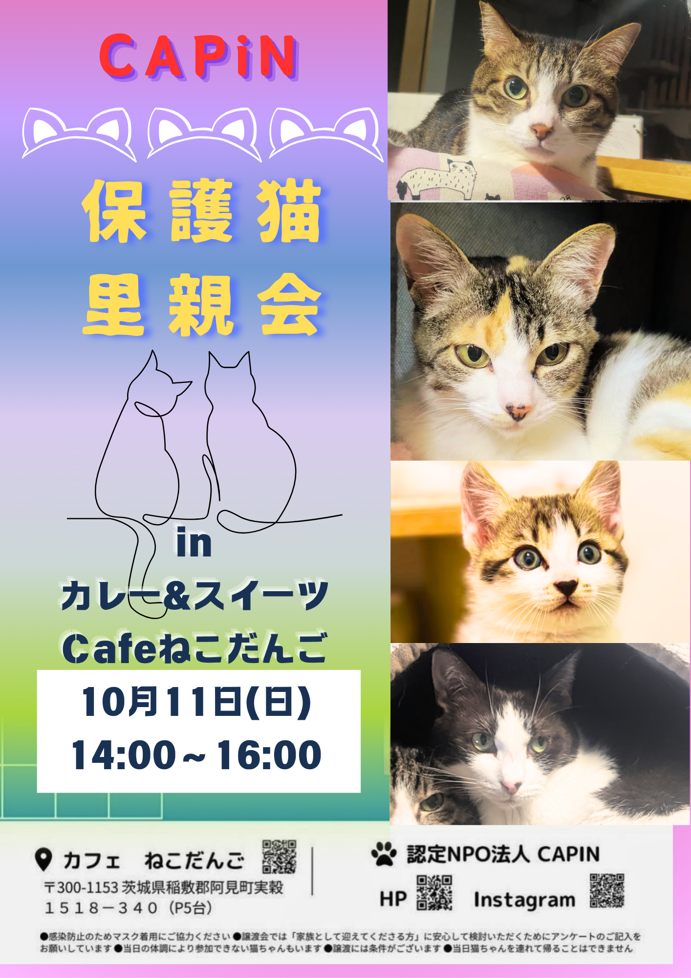 CAPiN保護猫里親会inカフェねこだんご