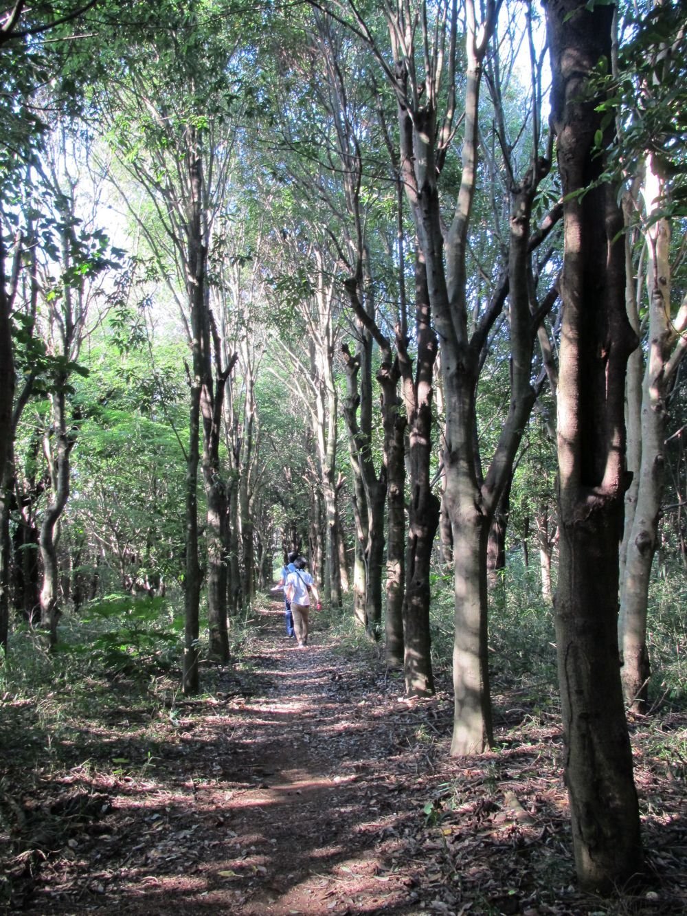 鹿嶋再発見まち歩きツアー
おりつの地
