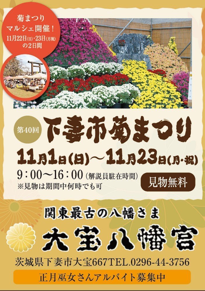 第40回
下妻市菊まつり