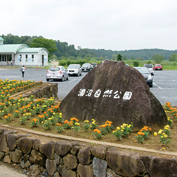 涸沼自然公園
