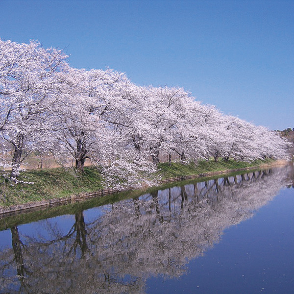 福岡堰