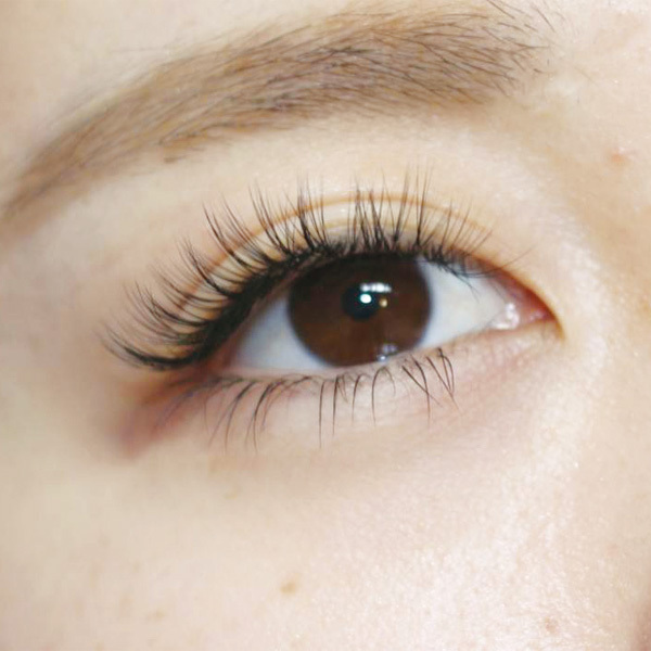 eyelash Salon Lynn