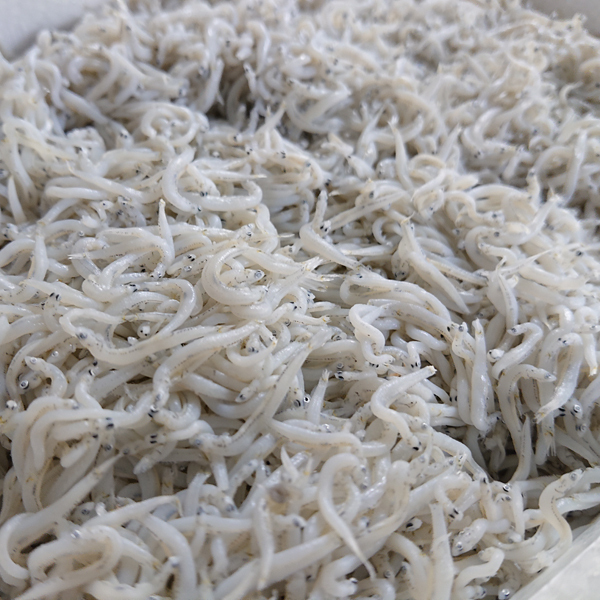 (株)安重水産