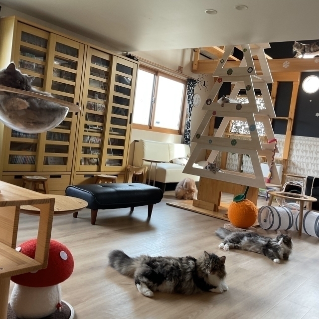 ねこまどや