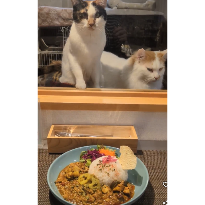 カレー＆スイーツ カフェねこだんご