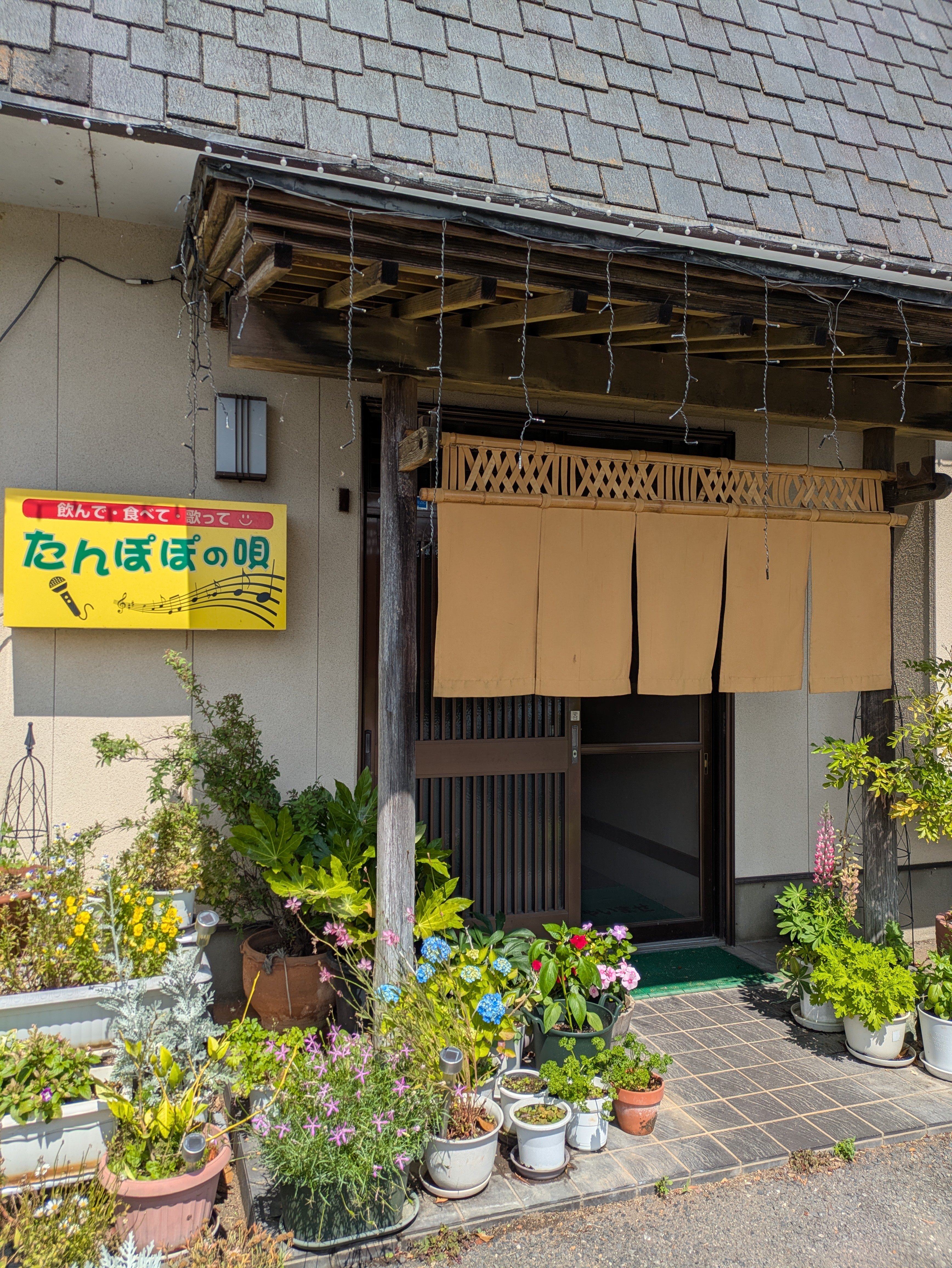 たんぽぽの唄