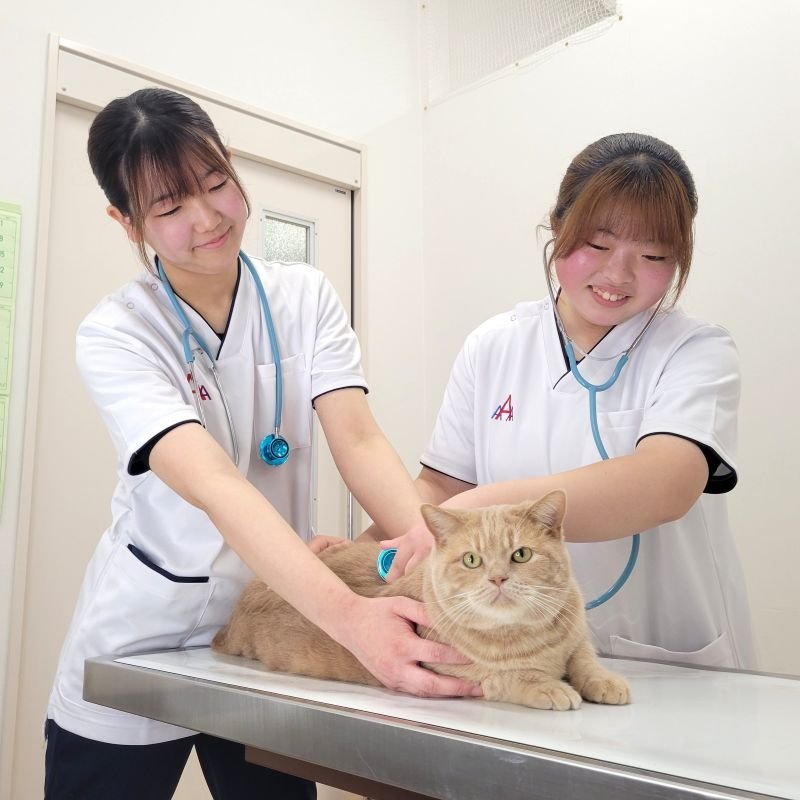 学校法人 佐山学園 アジア動物看護理学療法専門学校