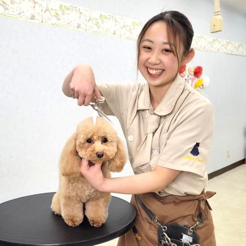 学校法人 佐山学園 アジア動物ペットスタイリスト専門学校