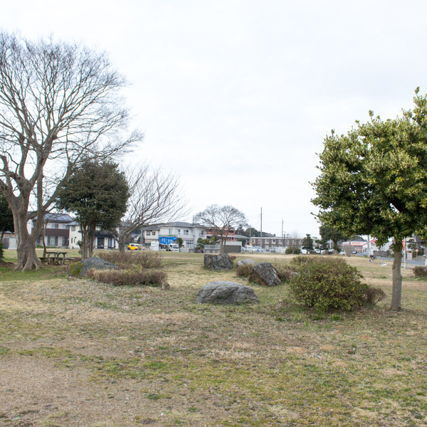 厨中央公園
