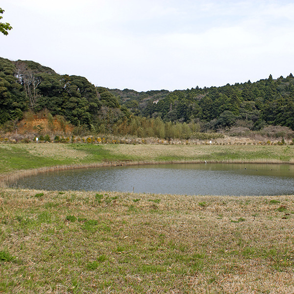 公園墓地