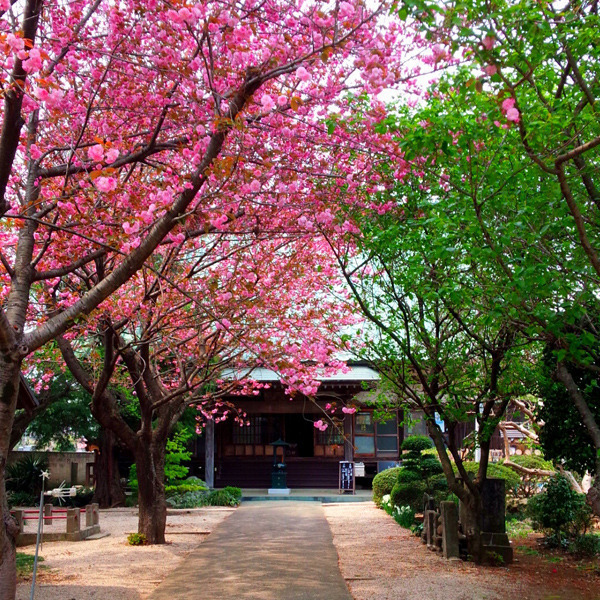 光明寺