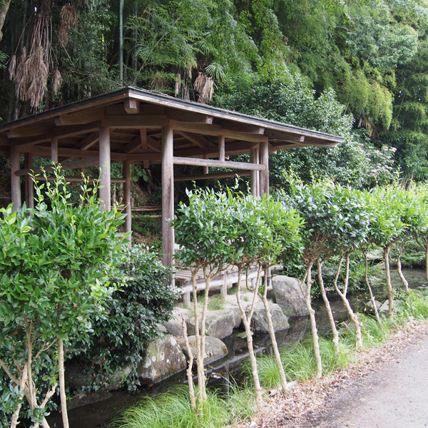 八幡池緑地