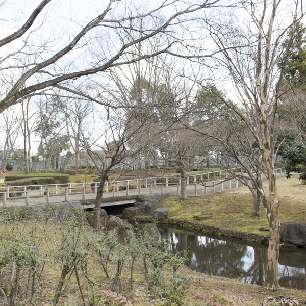 かつらぎ公園